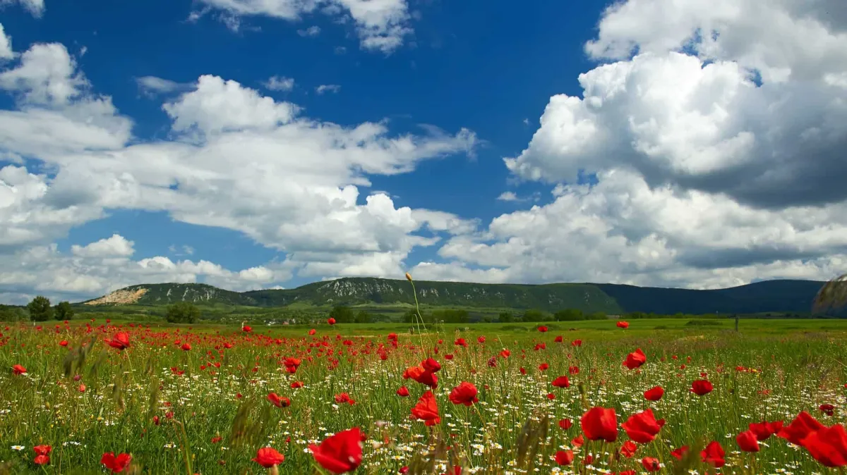 月經與惡露的差異